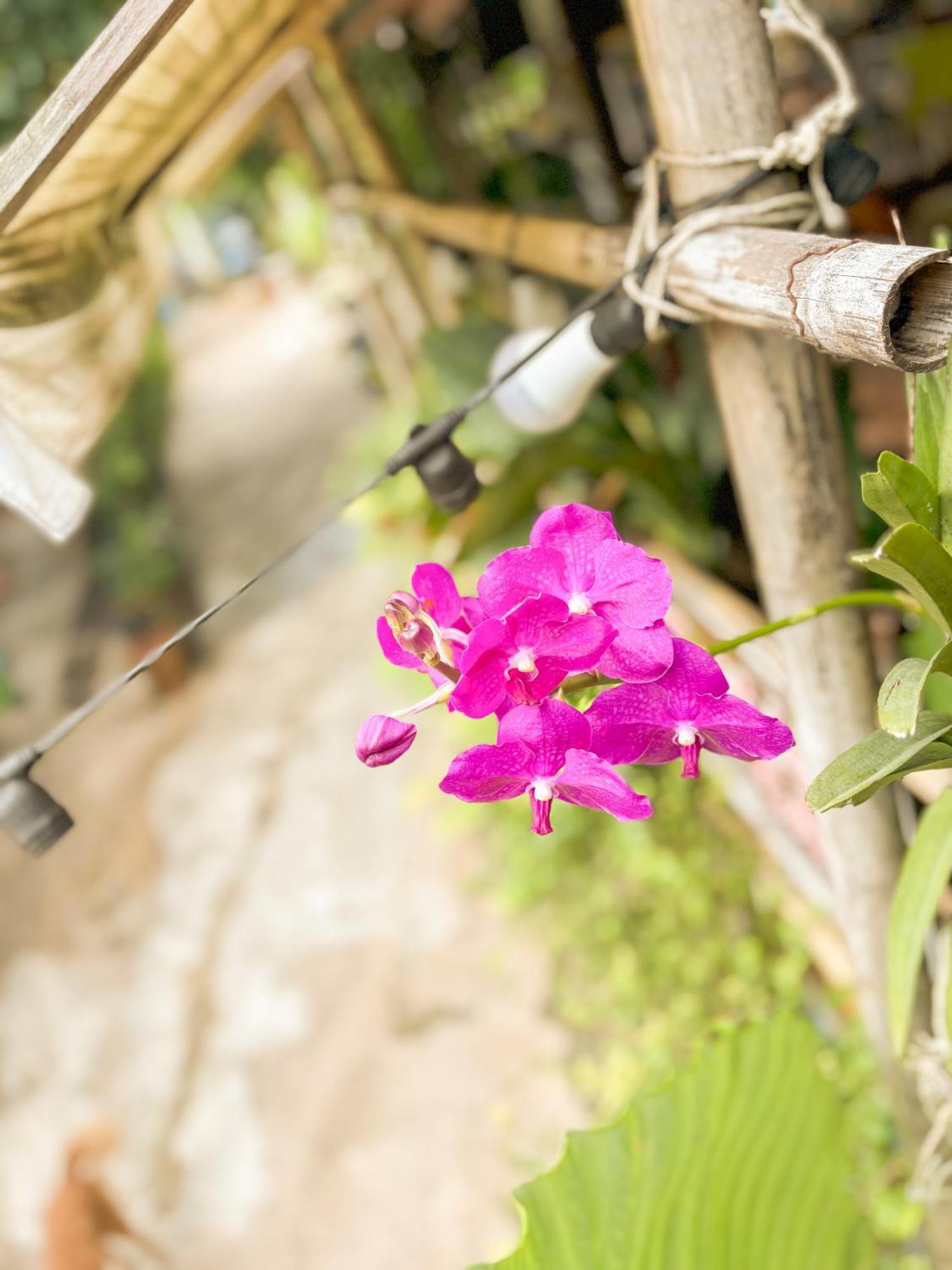 Les Fleurs House Bed & Breakfast Khao Lak Exterior foto